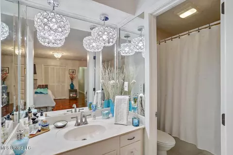 Bath - 20 Stonegate Dr, Brandon, MS 39042 photo 1 of 4