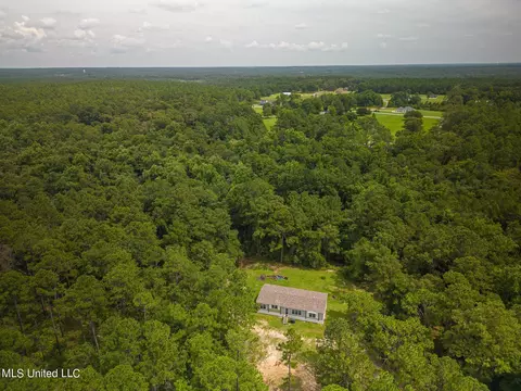 54 Albert Cuave Rd, Perkinston, MS 39573 photo 3