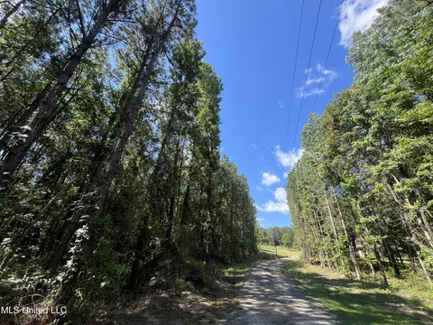 Other - 261 Salem-cato Rd, Brandon, MS 39042 photo 1 of 39