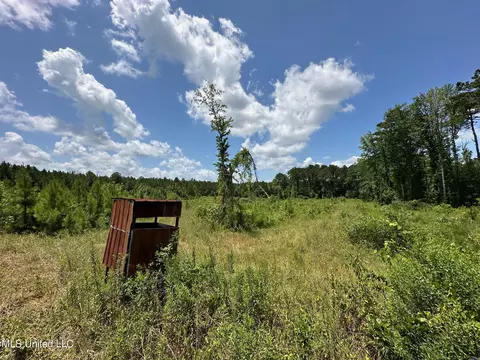 49 Carthage Homes For Sale & Carthage, MS Real Estate - Movoto