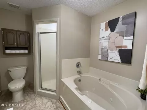 Bath - 4016 Los Padres Dr, Nesbit, MS 38651 photo 2 of 4