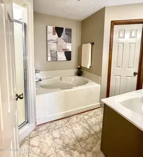 Bath - 4016 Los Padres Dr, Nesbit, MS 38651 photo 1 of 4