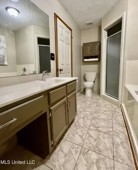 Bath - 4016 Los Padres Dr, Nesbit, MS 38651 photo 3 of 4