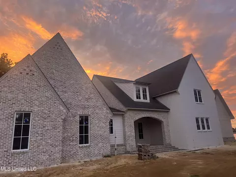 Exterior - 126 Colony Way, Brandon, MS 39047 photo 5 of 11