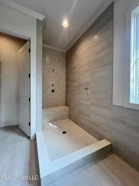 Bath - 126 Colony Way, Brandon, MS 39047 photo 1 of 1