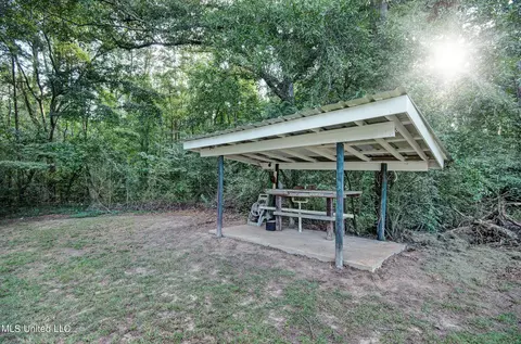 278 Ms-487, Carthage, MS 39051 photo 35