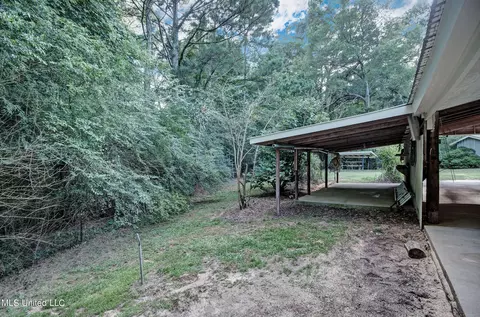 278 Ms-487, Carthage, MS 39051 photo 39