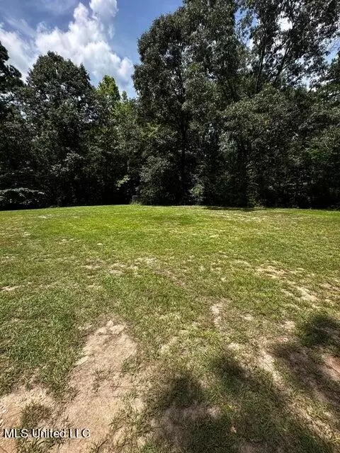 26 Jesse Ln, Purvis, MS 39475 photo 16