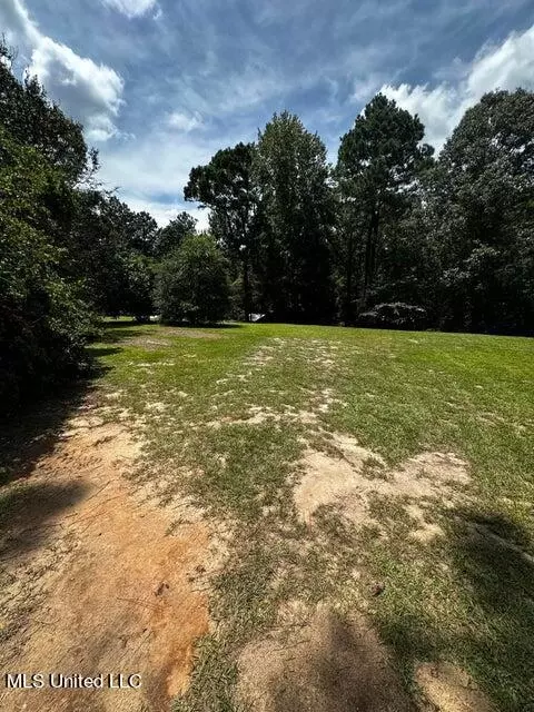 26 Jesse Ln, Purvis, MS 39475 photo 17