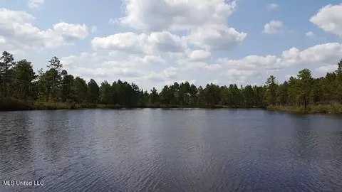 0 Bob Simpson Rd, Poplarville, MS 39470