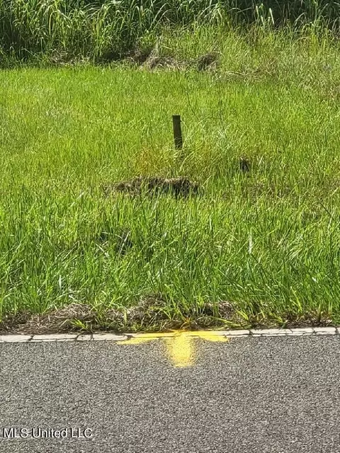 Paige Bayou Road, Vancleave, MS 39565 photo 5