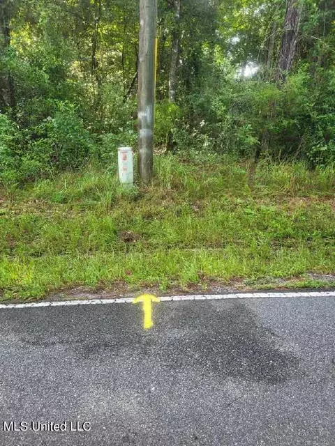 Paige Bayou Road, Vancleave, MS 39565 photo 3