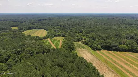 Scallions Road, Cascilla, MS 38920