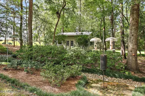Exterior - 153 Chapel Ln, Madison, MS 39110 photo 19 of 19