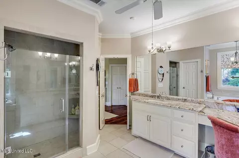 Bath - 153 Chapel Ln, Madison, MS 39110 photo 5 of 10