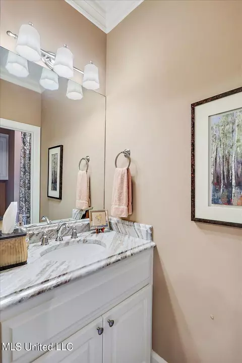 Bath - 153 Chapel Ln, Madison, MS 39110 photo 7 of 10