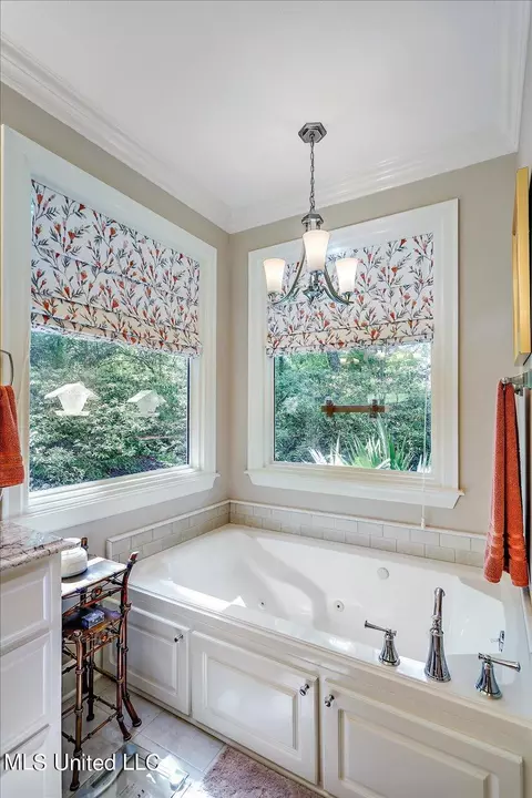Bath - 153 Chapel Ln, Madison, MS 39110 photo 6 of 10