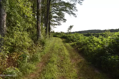 Mt. Hebron Rd, Lamar, MS 38642 photo 8