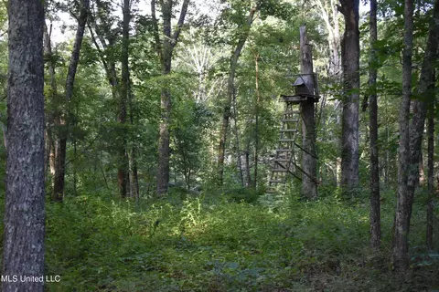 Mt. Hebron Rd, Lamar, MS 38642 photo 16