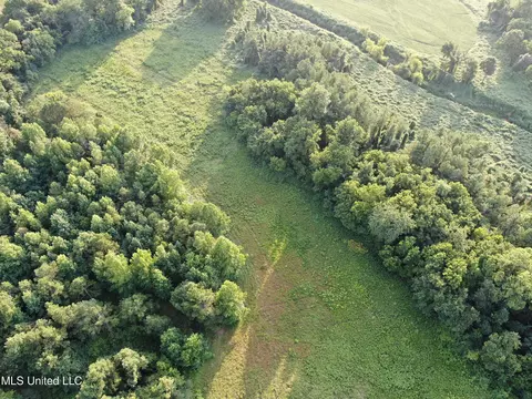 Mt. Hebron Rd, Lamar, MS 38642 photo 5
