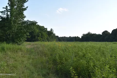 Mt. Hebron Rd, Lamar, MS 38642 photo 10