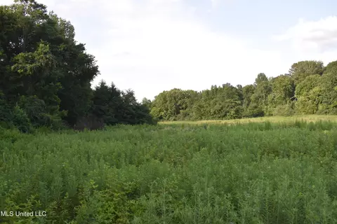 Mt. Hebron Rd, Lamar, MS 38642 photo 22