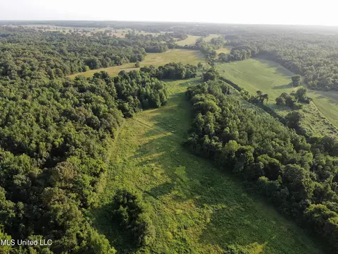 Mt. Hebron Rd, Lamar, MS 38642 photo 4