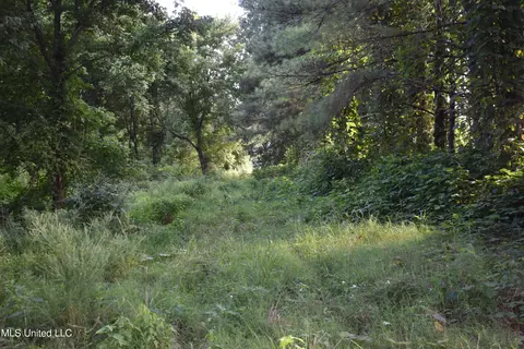 Mt. Hebron Rd, Lamar, MS 38642 photo 9