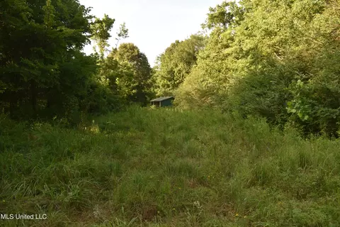 Mt. Hebron Rd, Lamar, MS 38642 photo 23