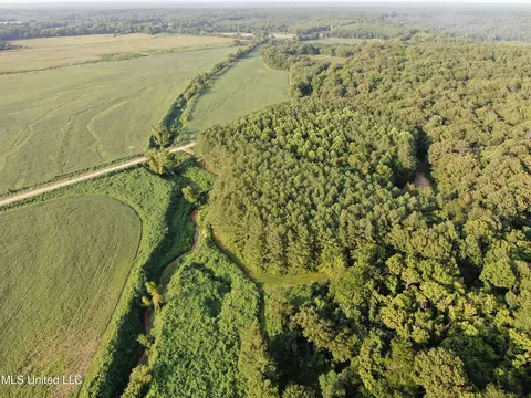 Mt. Hebron Rd, Lamar, MS 38642 photo 7