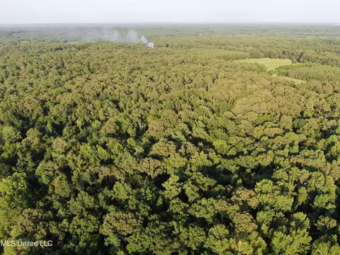Mt. Hebron Rd, Lamar, MS 38642 photo 3