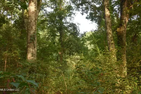 Mt. Hebron Rd, Lamar, MS 38642 photo 12