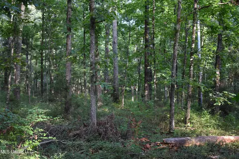 Mt. Hebron Rd, Lamar, MS 38642 photo 15
