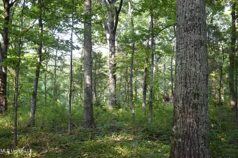 Mt. Hebron Rd, Lamar, MS 38642 photo 18