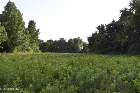 Mt. Hebron Rd, Lamar, MS 38642 photo 21