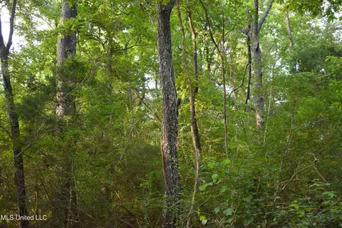 Mt. Hebron Rd, Lamar, MS 38642 photo 13