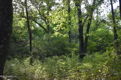 Mt. Hebron Rd, Lamar, MS 38642 photo 17