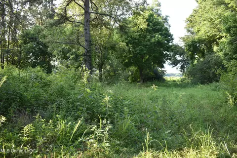 Mt. Hebron Rd, Lamar, MS 38642 photo 26