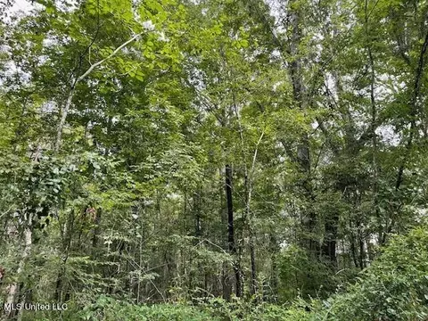Ms-13, Morton, MS 39117 photo 12