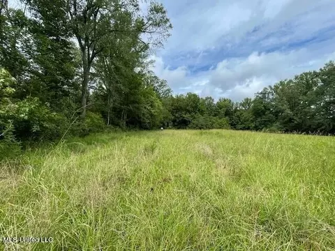 Ms-13, Morton, MS 39117 photo 6