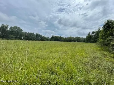 Ms-13, Morton, MS 39117 photo 5