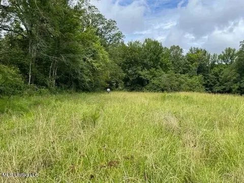 Ms-13, Morton, MS 39117 photo 7