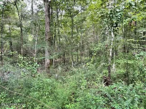 Ms-13, Morton, MS 39117 photo 9