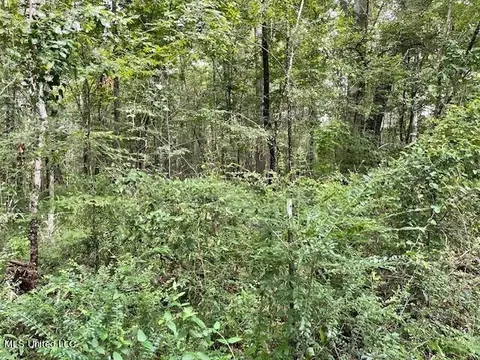 Ms-13, Morton, MS 39117 photo 11