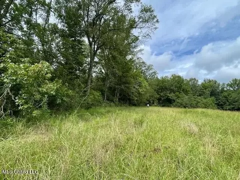 Ms-13, Morton, MS 39117 photo 8