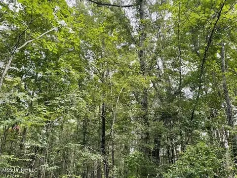 Ms-13, Morton, MS 39117 photo 14