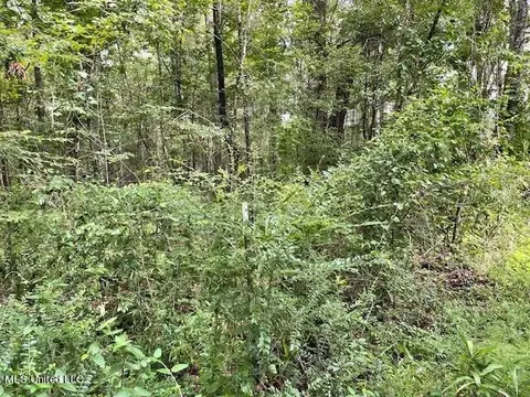 Ms-13, Morton, MS 39117 photo 13