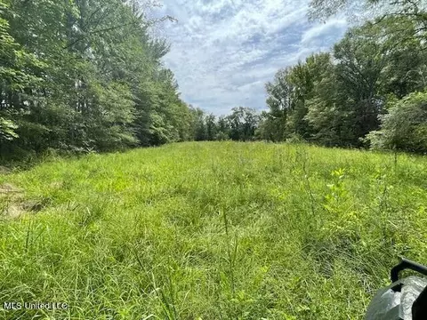 Ms-13, Morton, MS 39117 photo 16