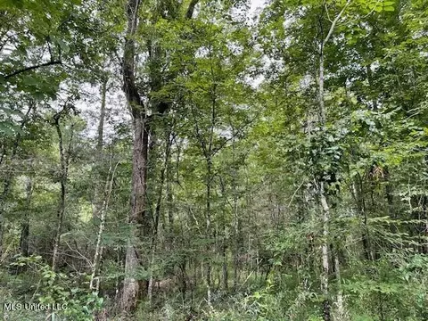 Ms-13, Morton, MS 39117 photo 10