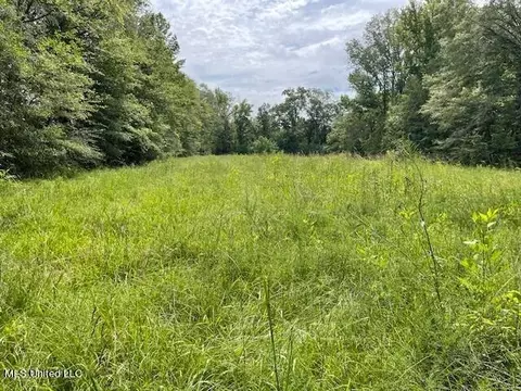 Ms-13, Morton, MS 39117 photo 15